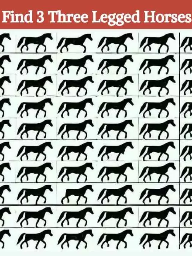 Find-3-three-legged-horses-in-9-seconds