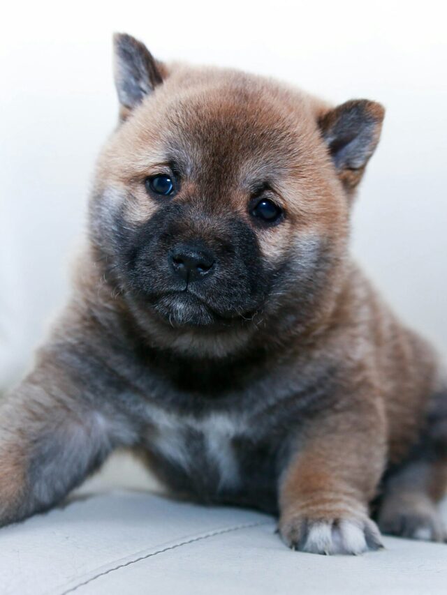 alvaro-nino-e9ZJpC8P0UY-unsplash