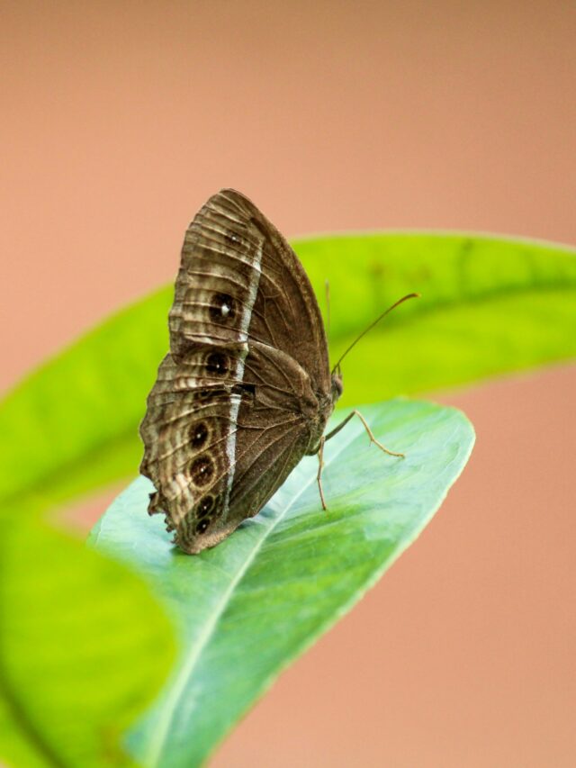 arjun-mj-DqgyGPdlP8g-unsplash