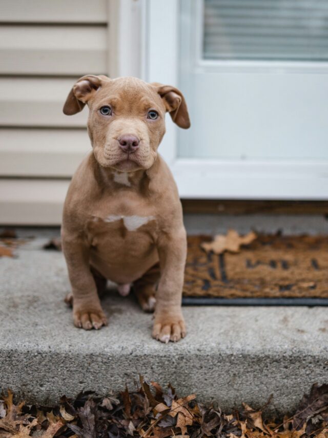 jordan-bigelow-yE1Q3Rld2SI-unsplash