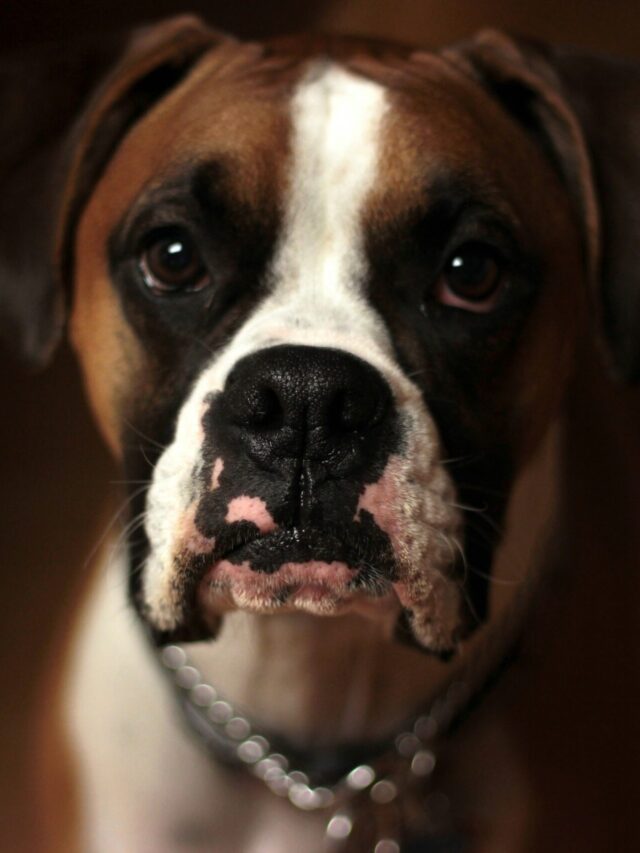 jordan-davis-JSfsK9VH4q8-unsplash