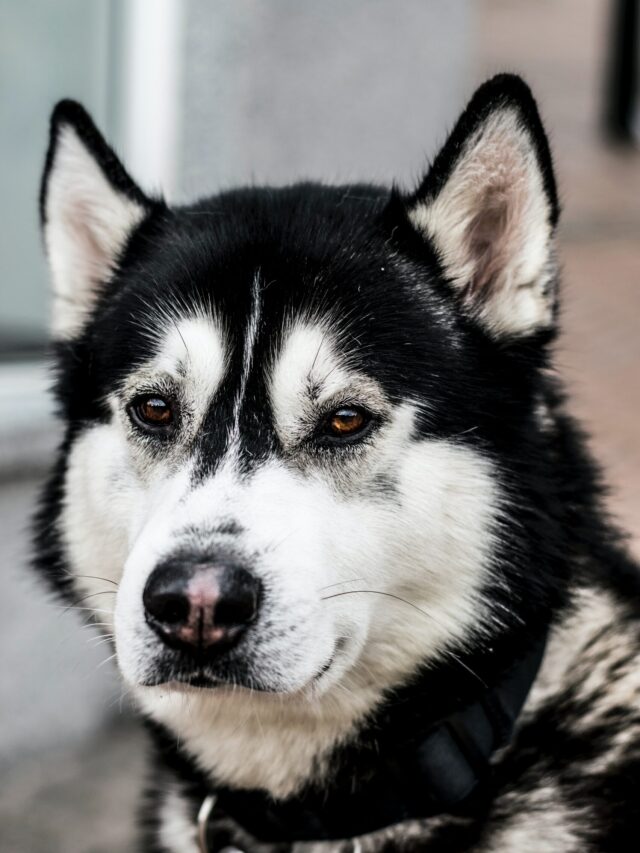 kieran-white-NKN25UfGfkQ-unsplash