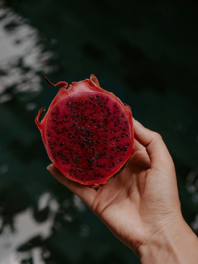 polina-kuzovkova-637zbFW0Ah8-unsplash