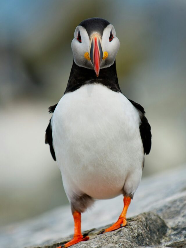 ray-hennessy-mpw37yXc_WQ-unsplash