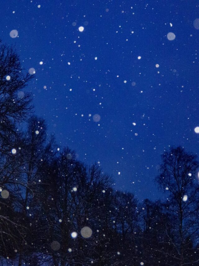 robert-katzki-w-0Gb3AfxKw-unsplash-2048x1365