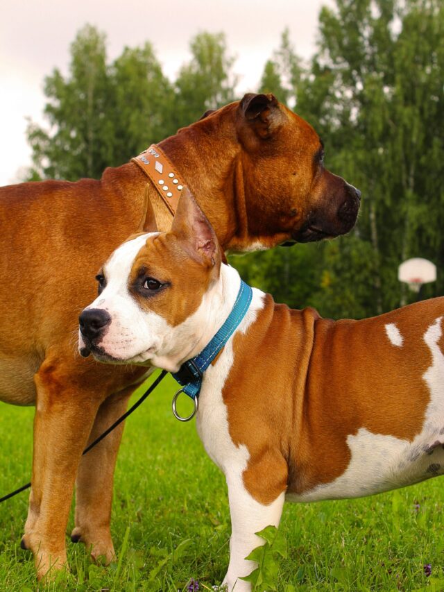 sabine-jaunzeme-oVsZbWz2RLQ-unsplash