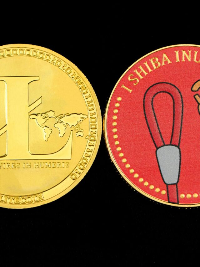 traxer-EwQ71lYXDDE-unsplash