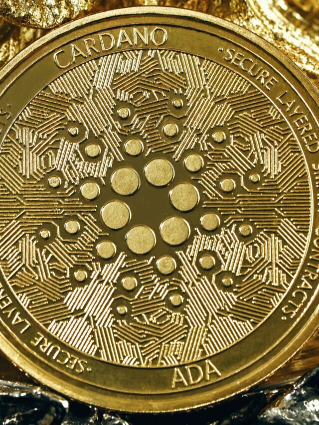 traxer-MnWFs31CPEk-unsplash (1)