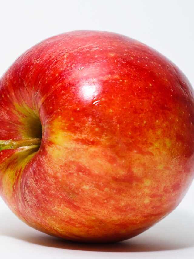 Irresistible Apple Galettes: A Delectable Recipe Collection