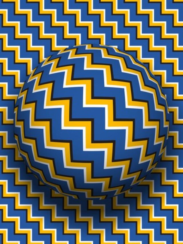 Brain Teaser IQ Test: Are You Observant Enough To Find The Teddy Bear In 5 Seconds?