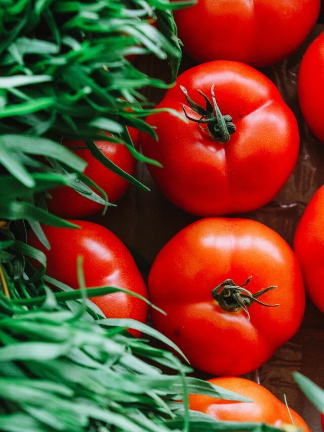 6 healthiest vegetables everyone should eat