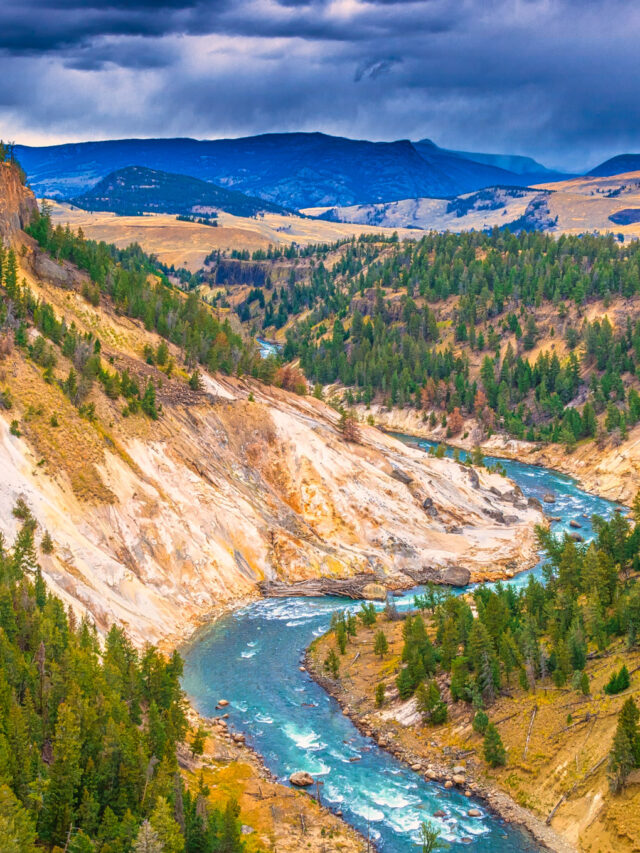 Yellowstone tourist gets near to bison: ‘Got what he was asking for’